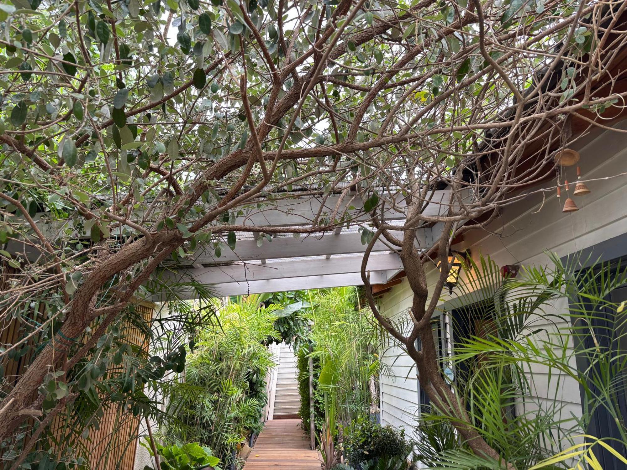 Kesem Bagolan Villa Had Nes Luaran gambar